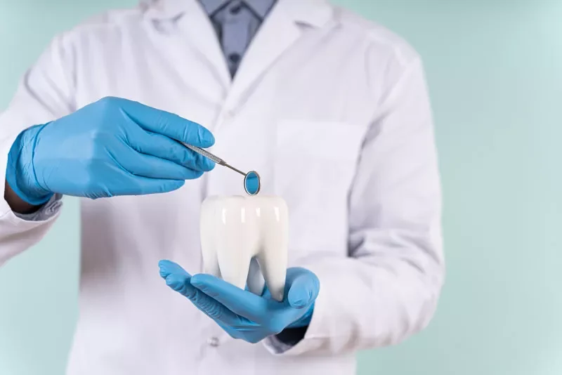 dentist holding oversize implant model